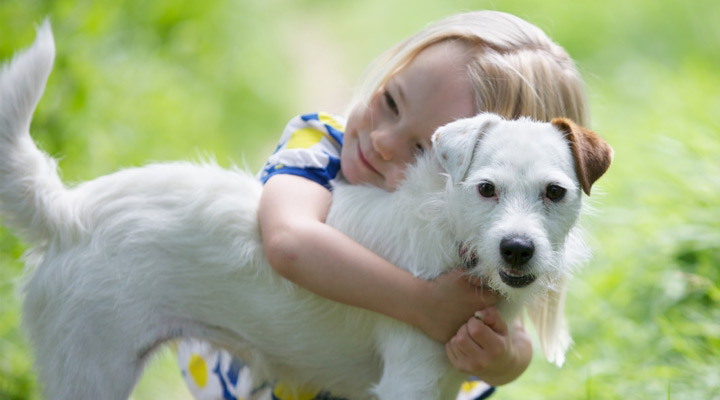 حیوانات و موجودات زنده را دوست بدارید